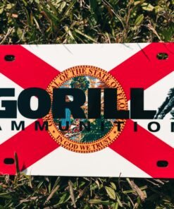 Florida Flag License Plate